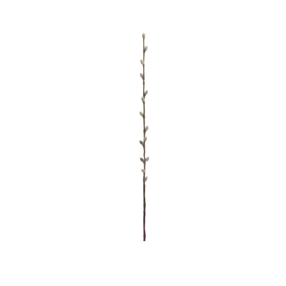 RAZ Imports 24" Pussy Willow Branch