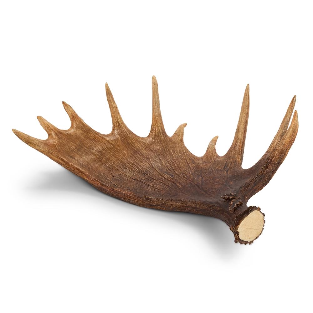 RAZ Imports 25" Moose Antler Tray