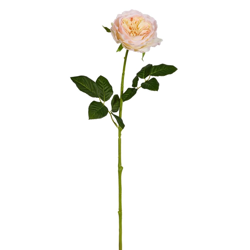 RAZ Imports 25" Real Touch Peach Rose Stem