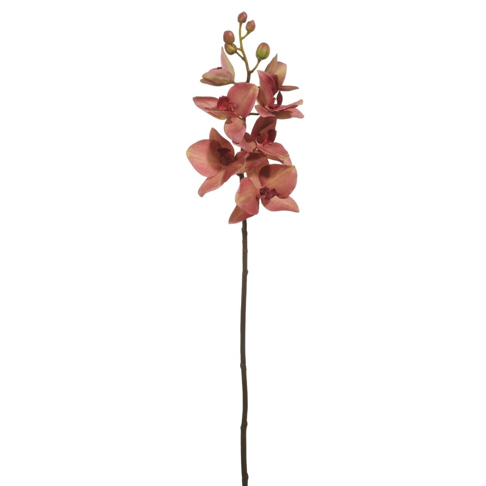 RAZ Imports 26.5" Red Moth Orchid Stem