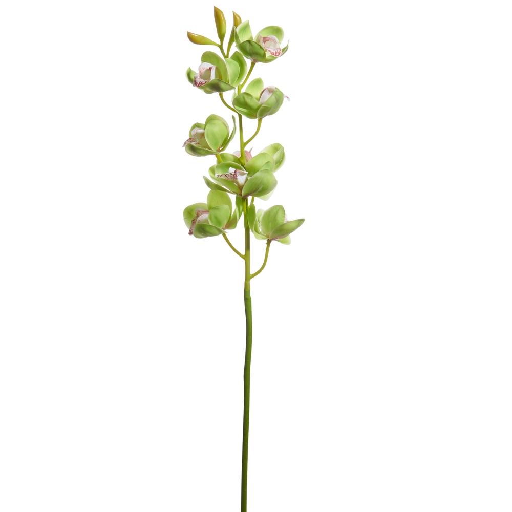 RAZ Imports 27.5" Green Cymbidium Orchid Stem