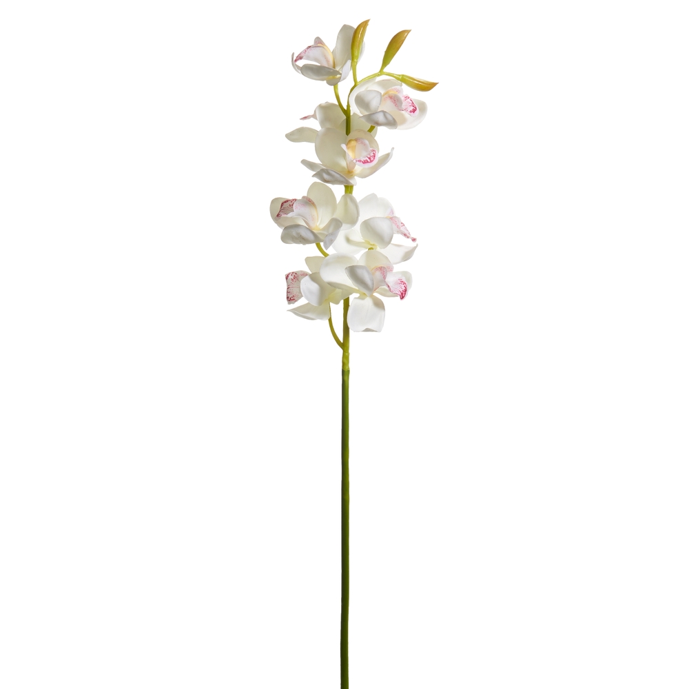 RAZ Imports 27.5" White Cymbidium Orchid Stem