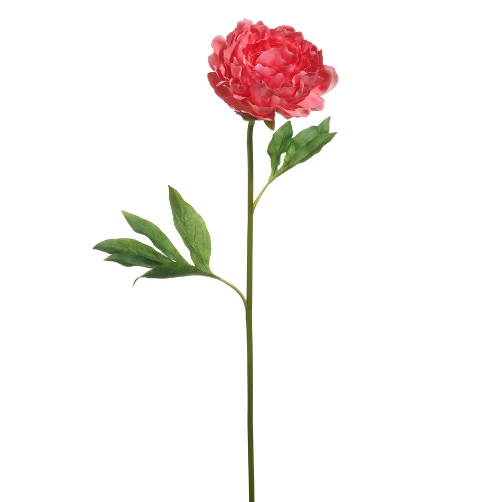 RAZ Imports 28" Dk Pink Single Peony Stem
