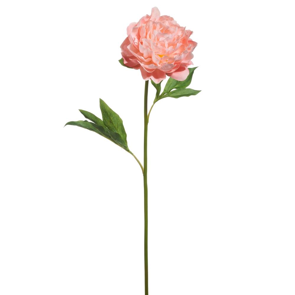 RAZ Imports 28" Lt Pink Single Peony Stem