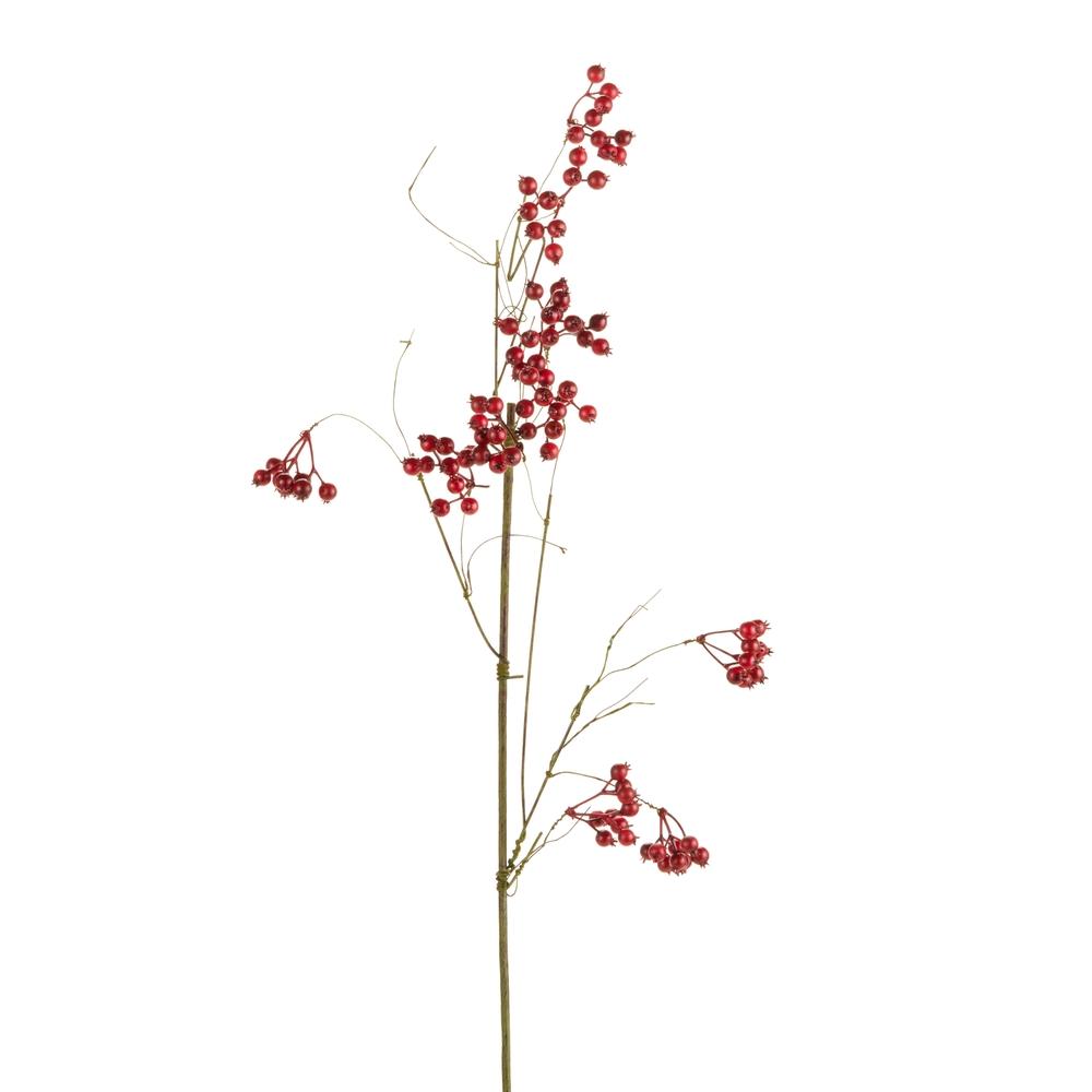 RAZ Imports 28" Red Rosehip Stem