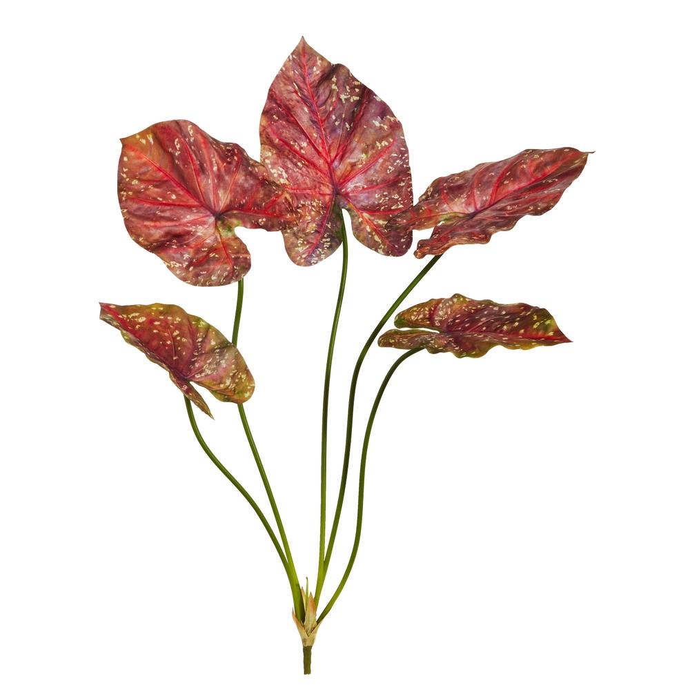 RAZ Imports 32" Burgandy Calladium Bush