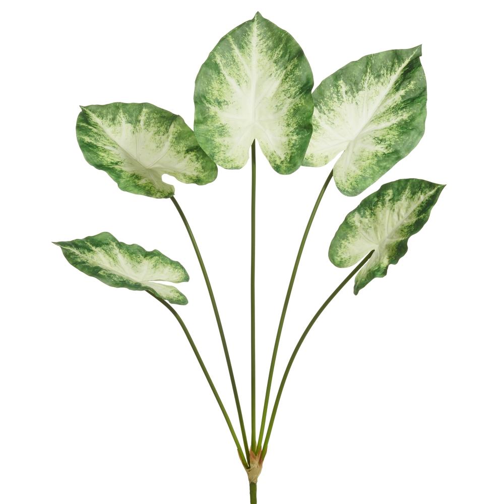 RAZ Imports 32" Green White Calladium Bush