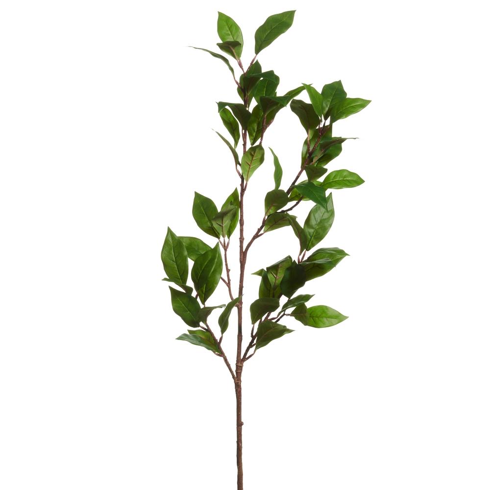 RAZ Imports 34.5" Ligustrum Leaf Spray