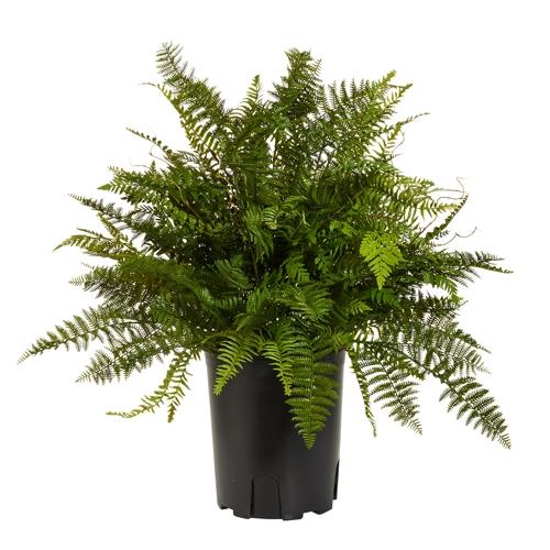 RAZ Imports 36" Potted Fern Plant