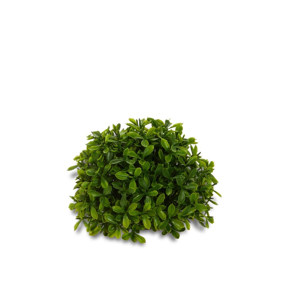 RAZ Imports 5" Cedar Ball