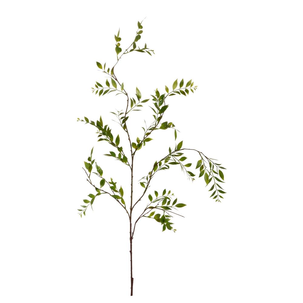 RAZ Imports 57.5" Ruscus Branch