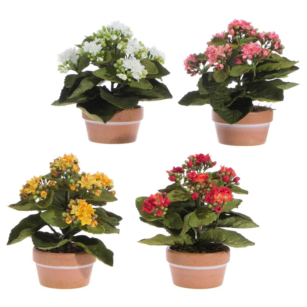 RAZ Imports 7.5" Potted Kalanchoe
