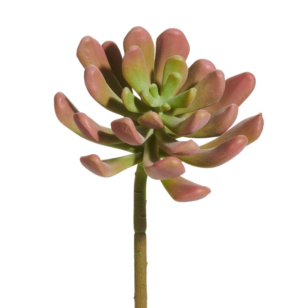 RAZ Imports 7" Pink Succulent Stem
