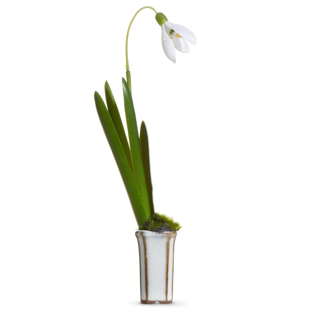 RAZ Imports 7" Snowdrop in Cachepot