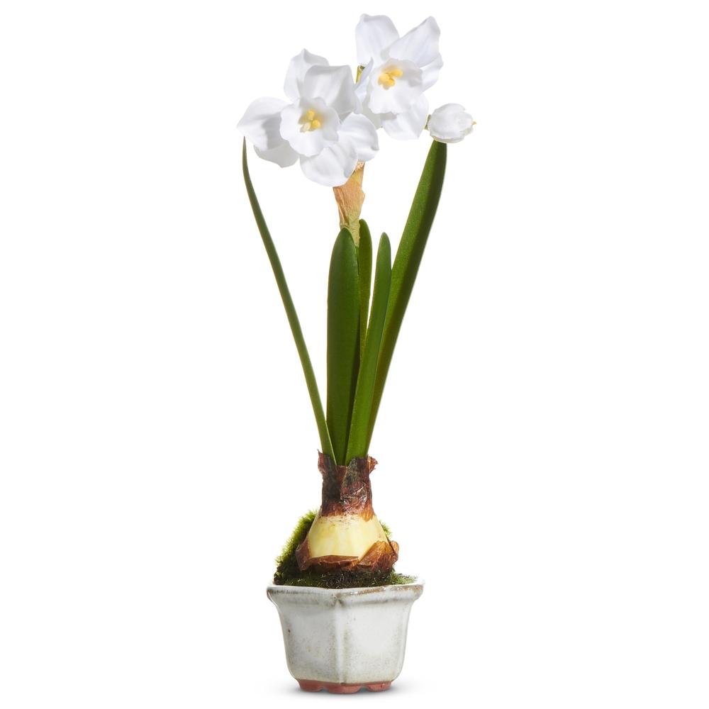 RAZ Imports 8.5" Single Narcissus in Cachepot