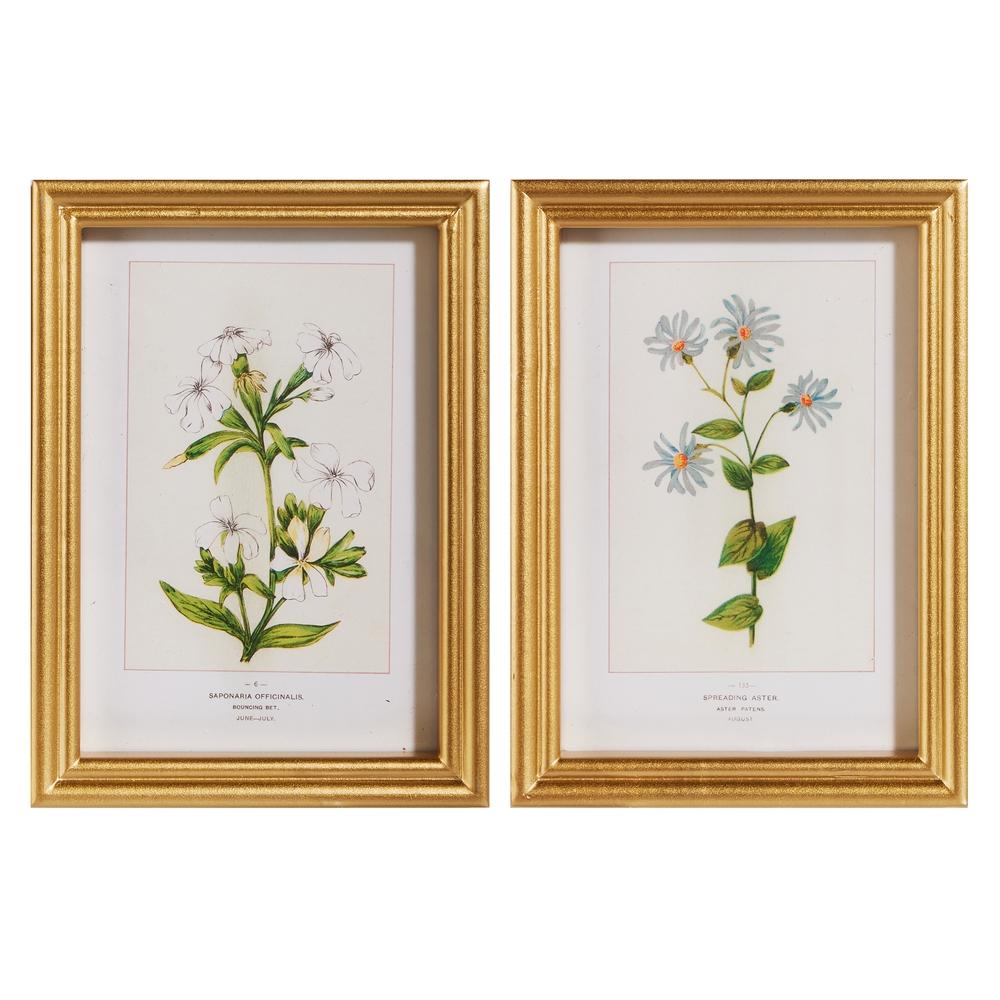 RAZ Imports 9" Wildflower Framed Wall Art