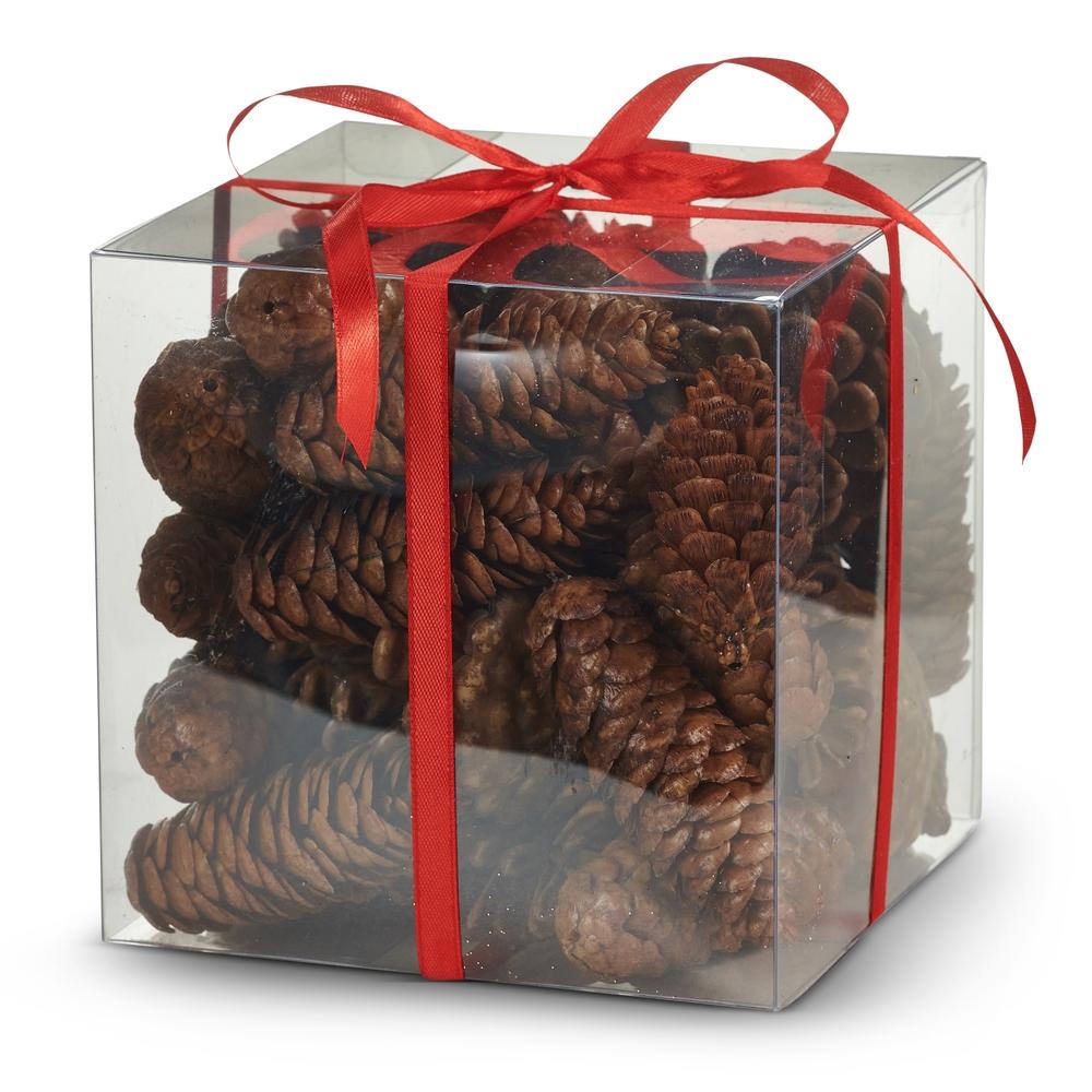 RAZ Imports Box of Pinecones
