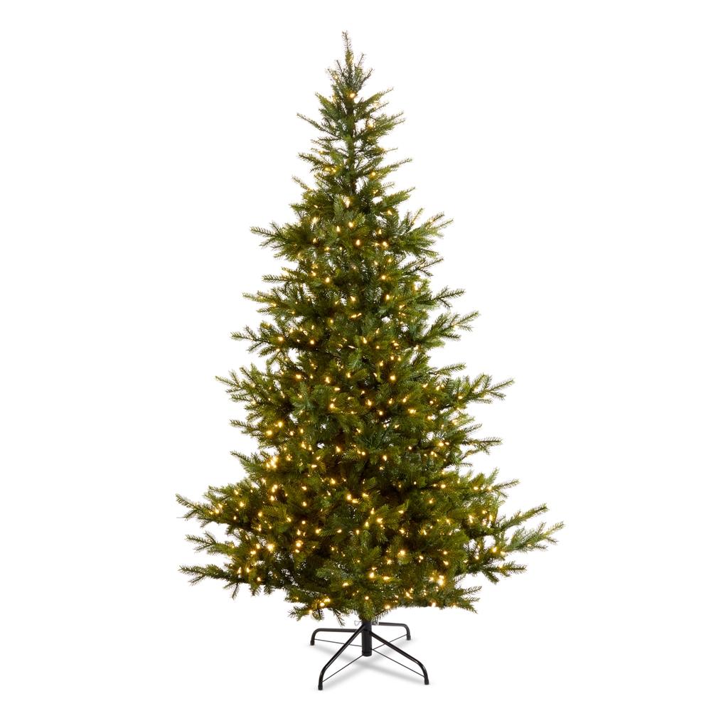 RAZ Imports *DC* 7.5' Balsam Fir Tree