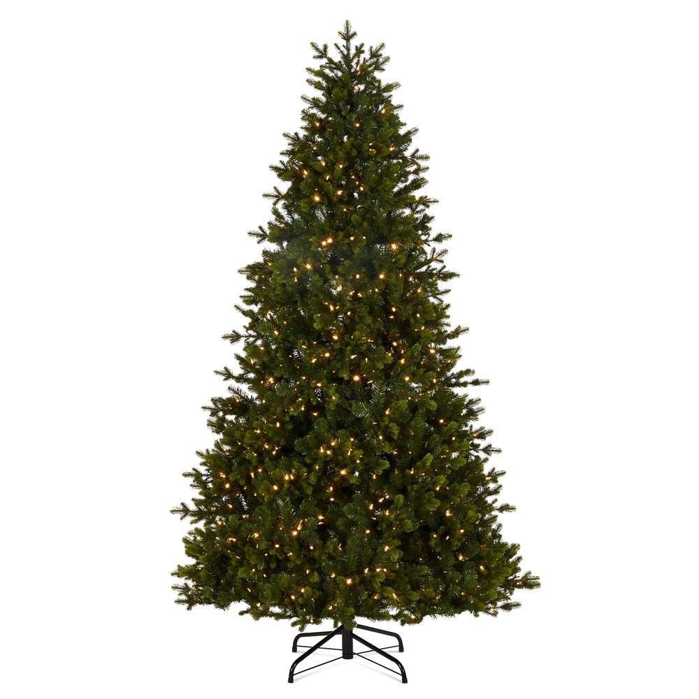 RAZ Imports *DC* 7.5' Douglas Fir Tree