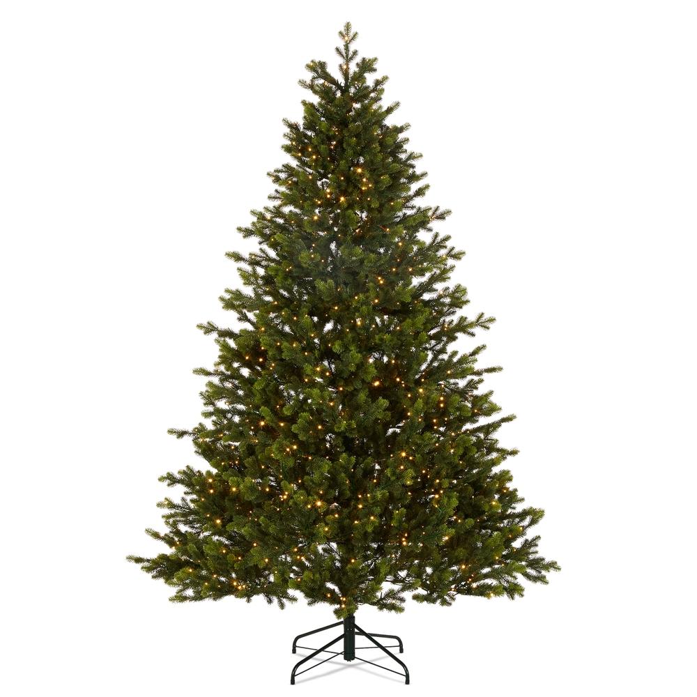 RAZ Imports *DC* 7.5' Douglas Fir Tree