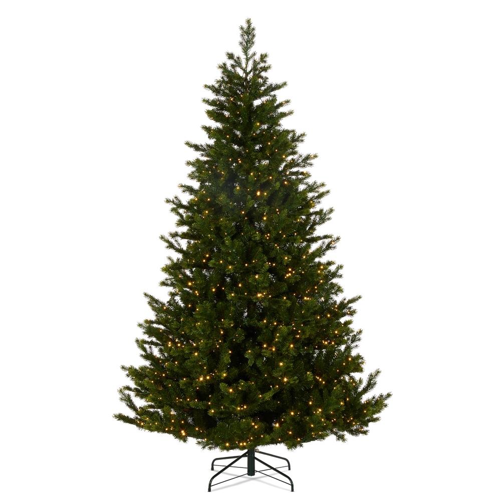 RAZ Imports *DC* 7.5' Fraser Fir Tree