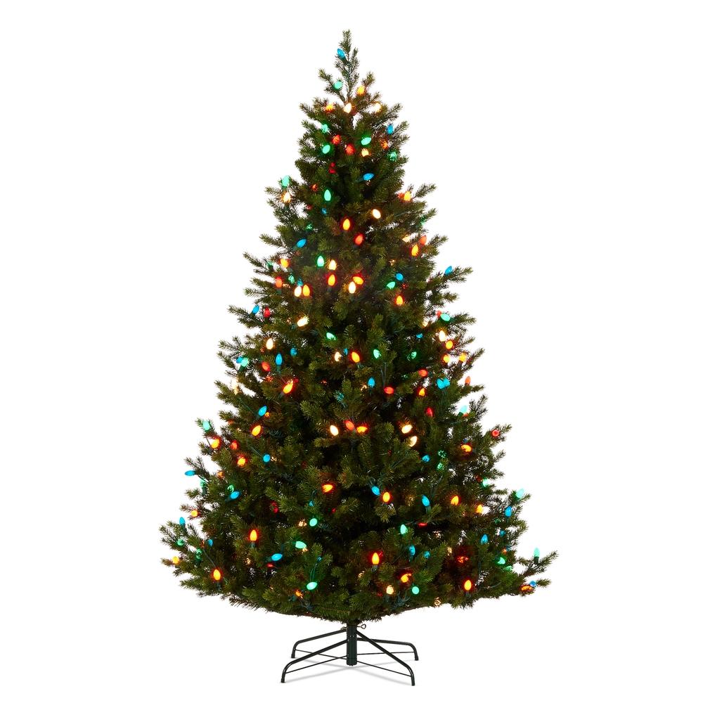 RAZ Imports *DC* 7.5' Fraser Fir with C7 Bulbs Tree
