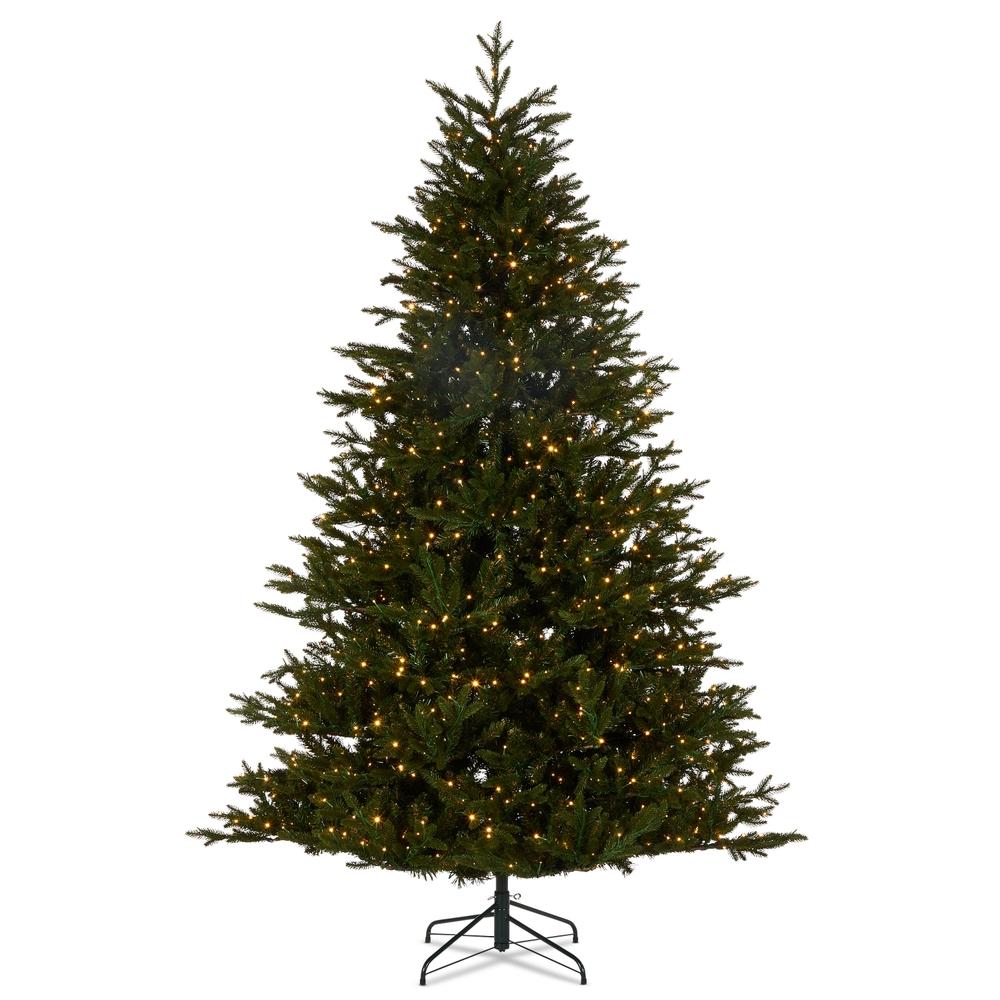 RAZ Imports *DC* 7.5' Noble Fir Tree