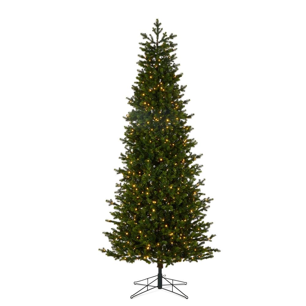 RAZ Imports *DC* 7.5' Slim Douglas Fir Tree