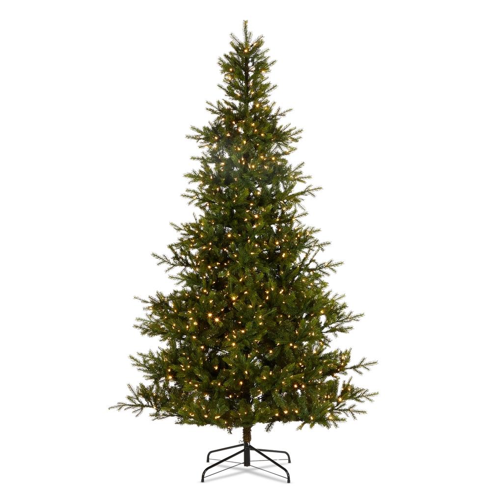 RAZ Imports *DC* 9' Balsam Fir Tree