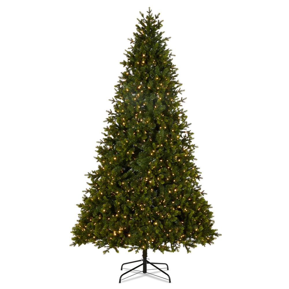 RAZ Imports *DC* 9' Douglas Fir Tree