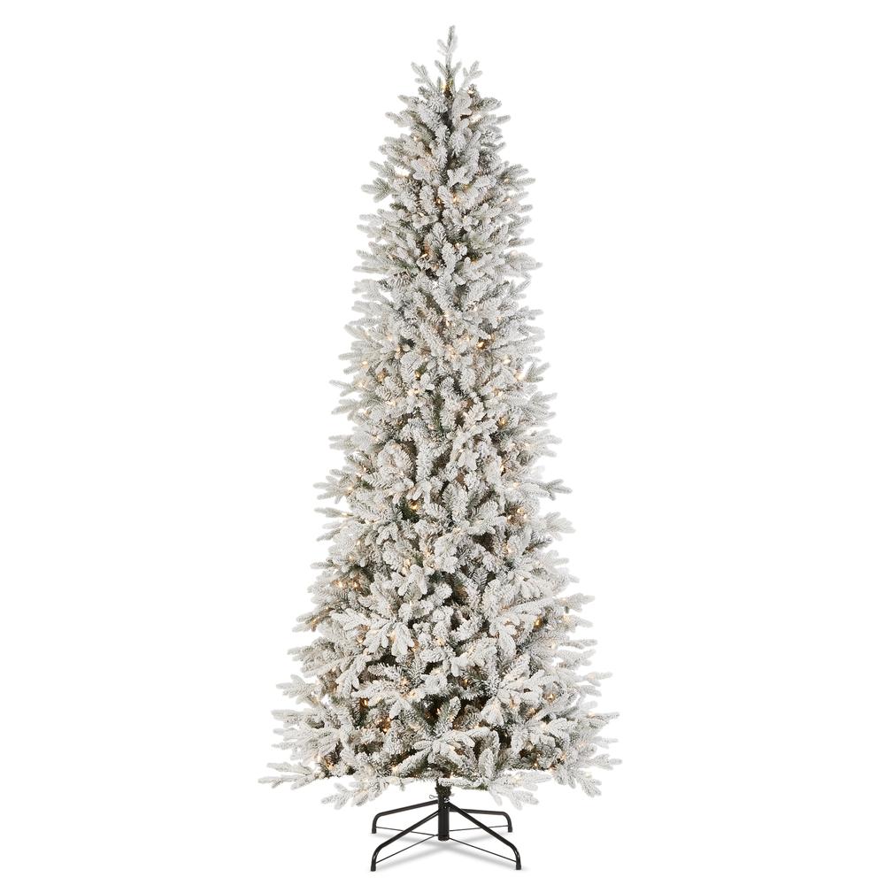 RAZ Imports *DC* 9' Flocked Fir Noble Tree