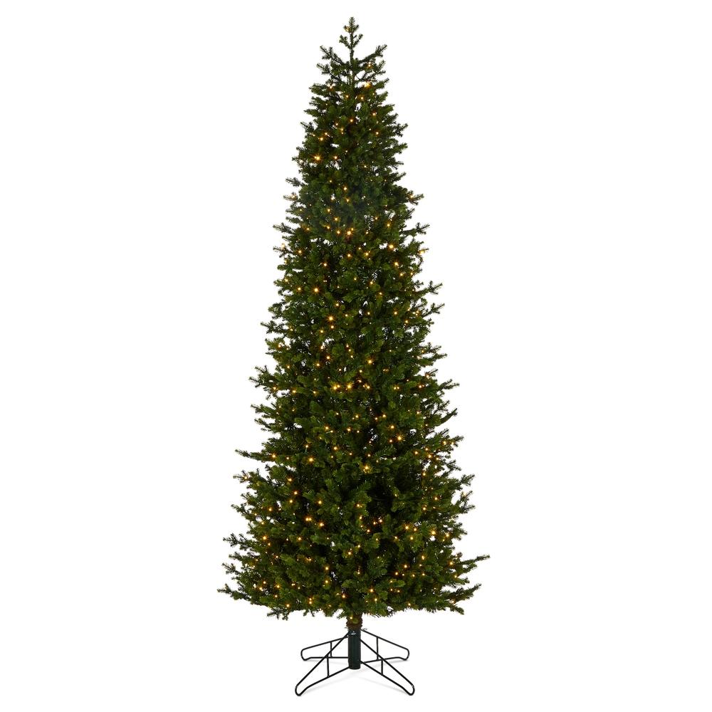 RAZ Imports *DC* 9' Slim Douglas Fir Tree