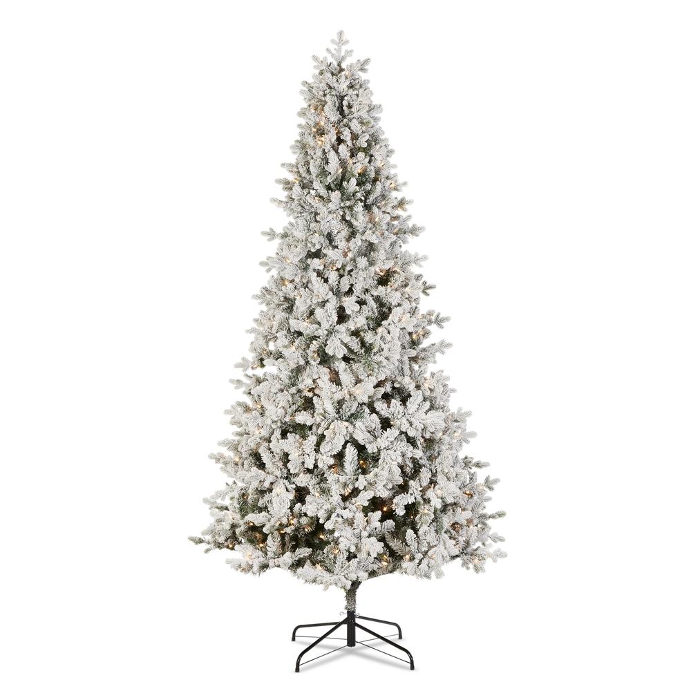 RAZ Imports *DC* 9' Slim Flocked Noble Fir Tree