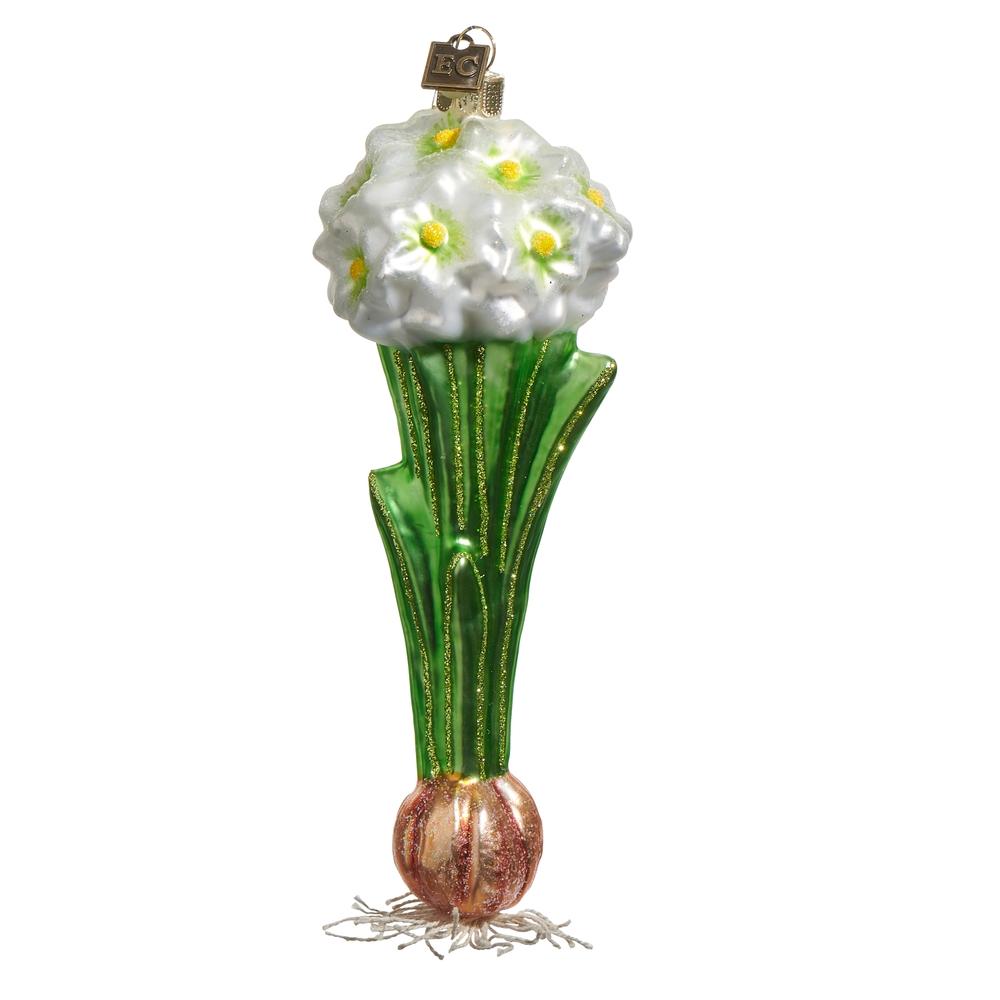 RAZ Imports EC 7" Paperwhite Bulb Ornament