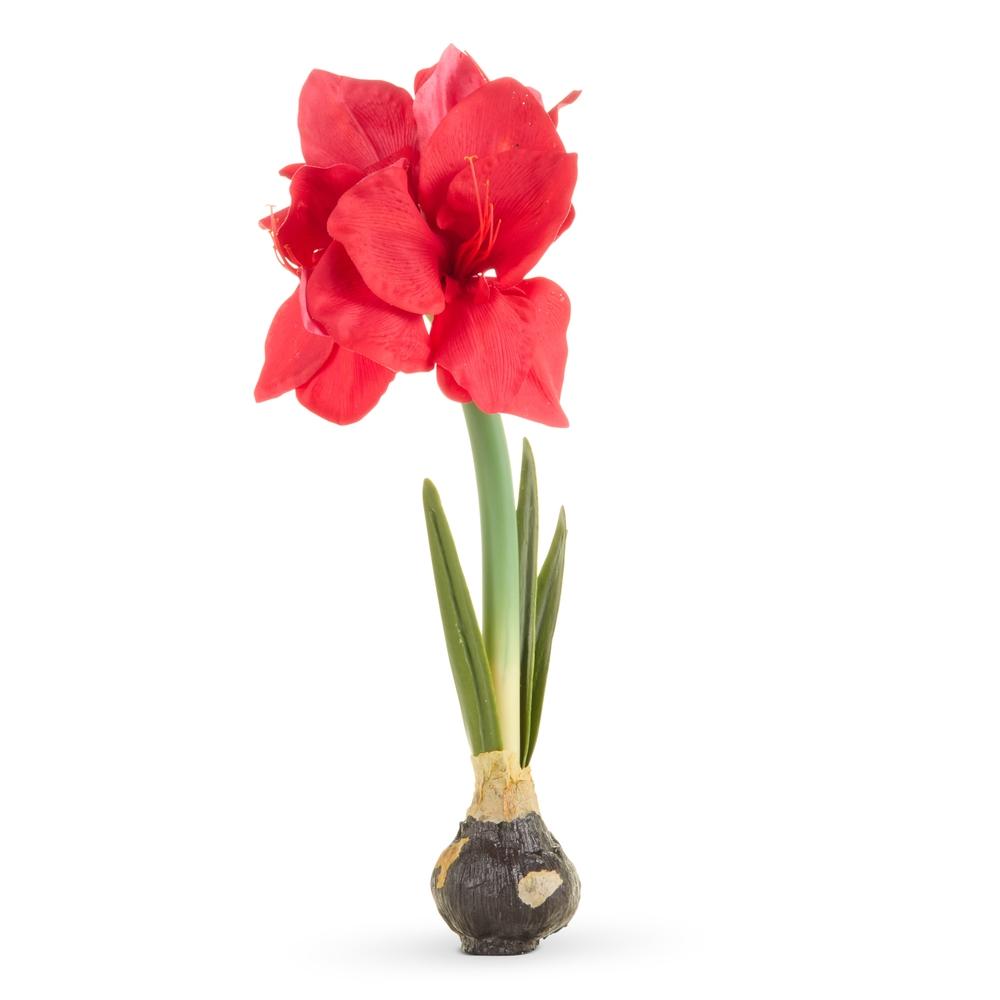 RAZ Imports Real Touch Red Amaryllis Bulb