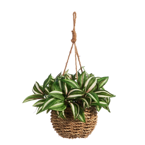 RAZ Imports *SB* 10" Hanging Potted House Plant
