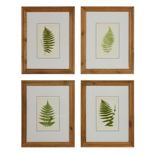 RAZ Imports *SB* 20" Fern Framed Wall Art