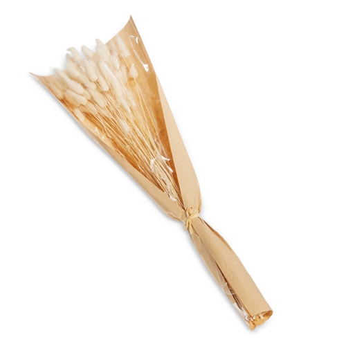 RAZ Imports *SB* 22" Dried Bunny Tails Bouquet