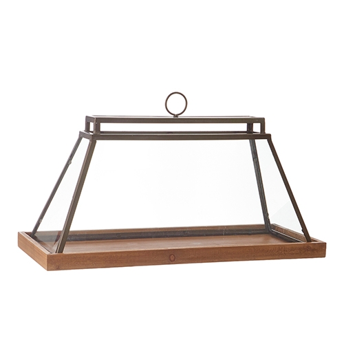 RAZ Imports *SB* 25.5" Terrarium