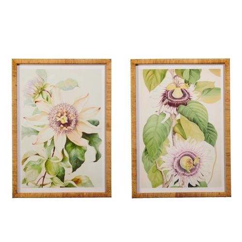 RAZ Imports *SB* 27.75" Purple Botanical Framed Print