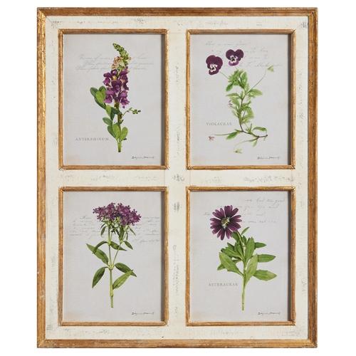 RAZ Imports *SB* 32" Botanical Floral Framed Wall Art
