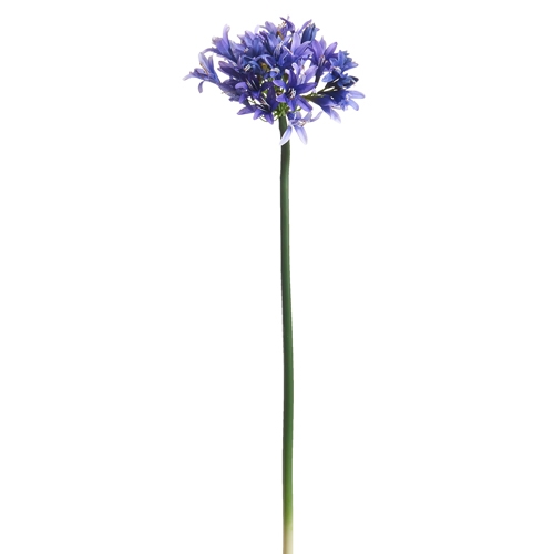 RAZ Imports *SB* 33" Purple Agapanthus Stem
