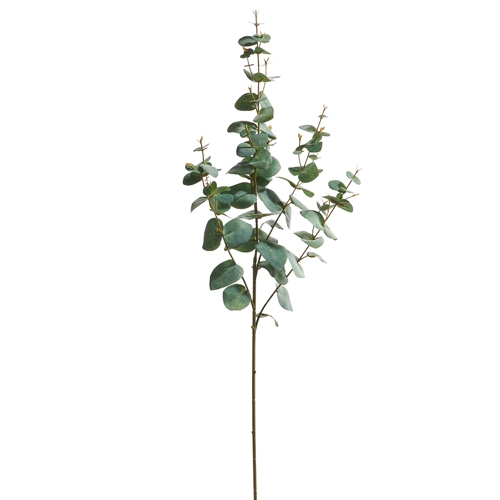 RAZ Imports *SB* 39" Eucalyptus Spray