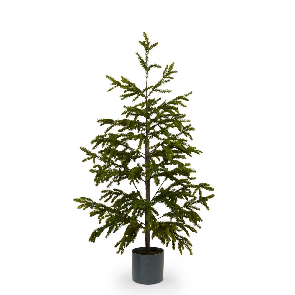 RAZ Imports *SB* 60" Potted Noble Fir Tree