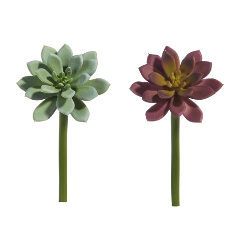 RAZ Imports *SB* 7" Succulent Pick
