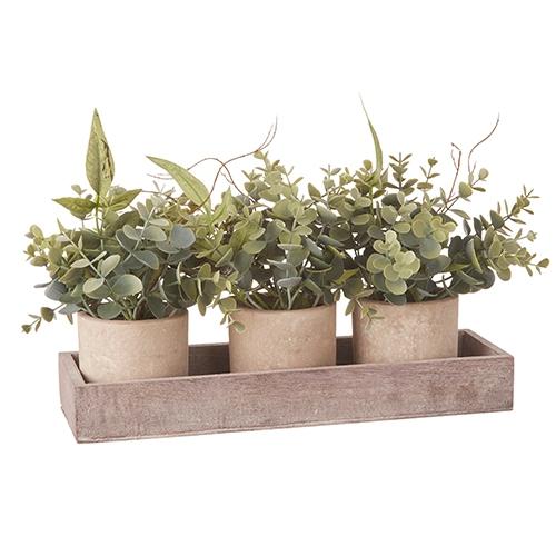 RAZ Imports *SB* 12.75" Potted Eucalyptus Arrangements with Tray