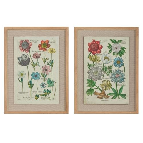 RAZ Imports *SB* 18" Vintage Botanical Framed Wall Art