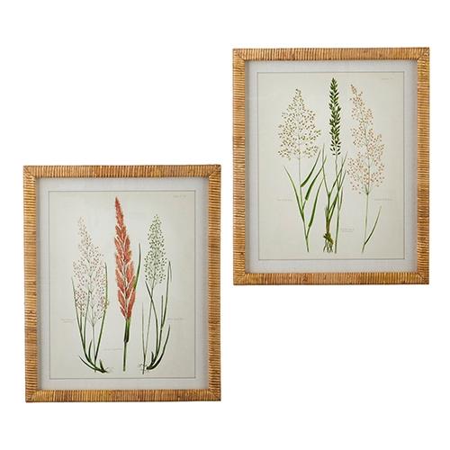RAZ Imports *SB* 20" Dried Botanical Rattan Framed Print