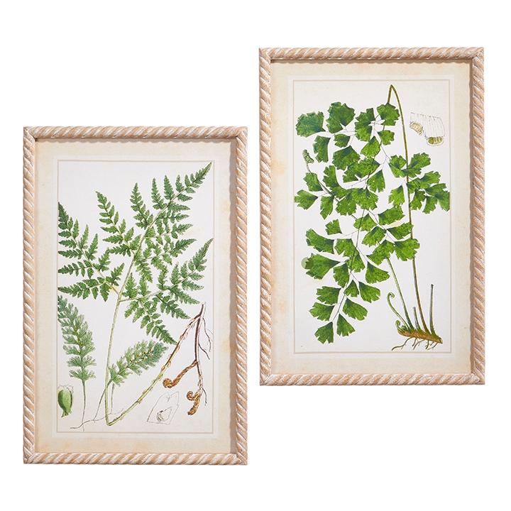 RAZ Imports *SB* 23.5" Botanical Greenery Framed Print