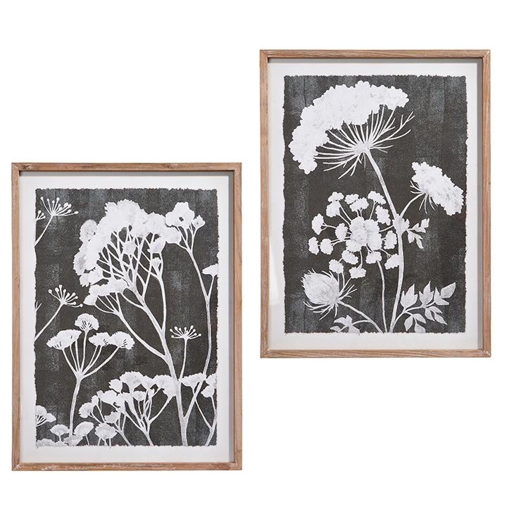 RAZ Imports *SB* 31.5" Black and White Botanical Framed Print